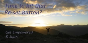 Reset Button