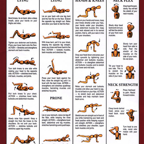 Spinal Flexibility & Stretching Exercises
