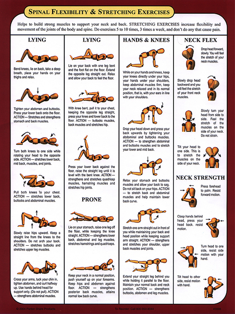 Spinal Flexibility & Stretching Exercises