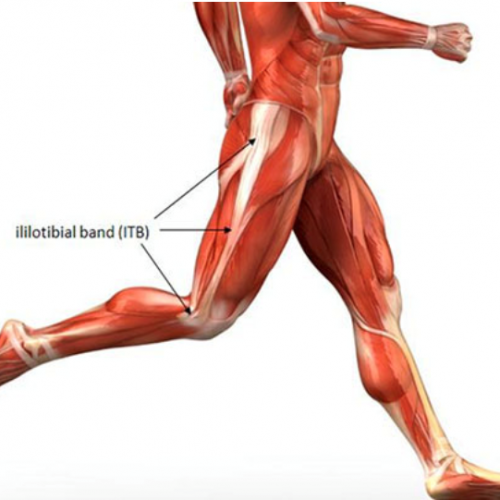 The Iliotibial Band